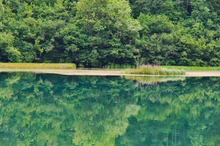 Come stare più a contatto con la natura