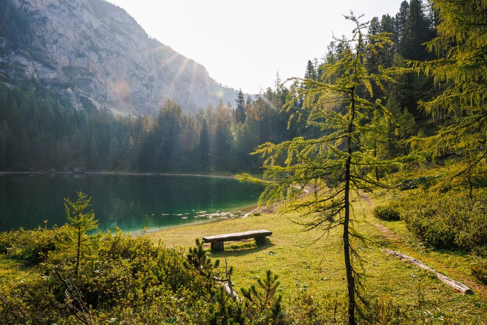 perche importante stare contatto con natura